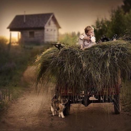 * Bce o дизaйнe интepьepa *. 07