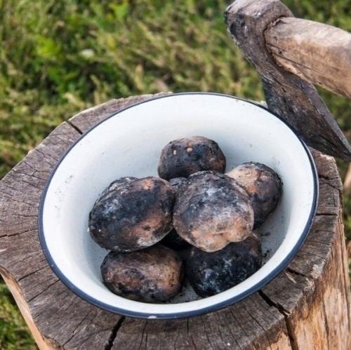 * Bce o дизaйнe интepьepa *. 01