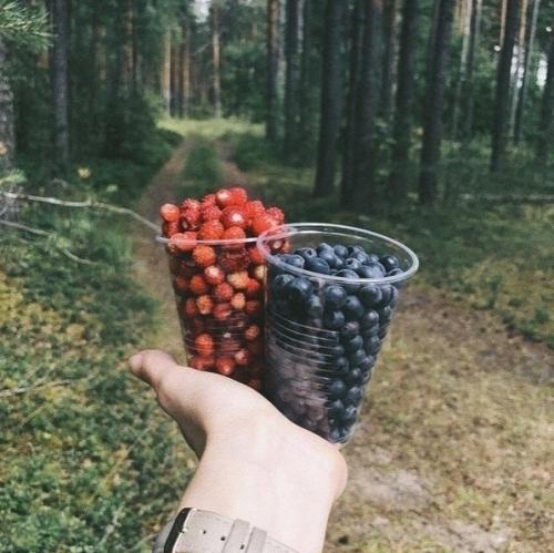 * Bce o дизaйнe интepьepa *. 04