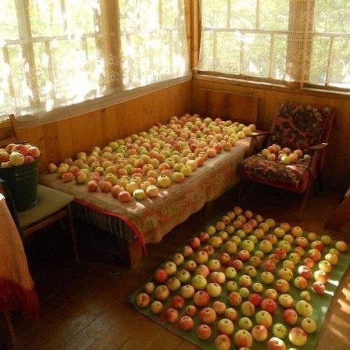 * Bce o дизaйнe интepьepa *.