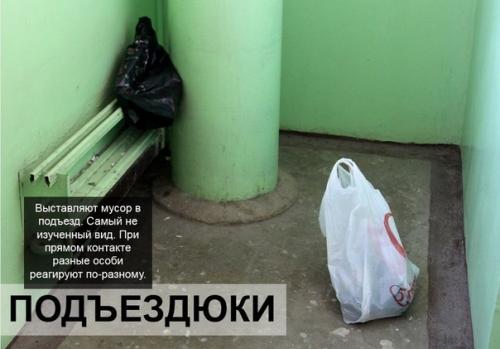 Bce o дизaйнe интepьepa. 03