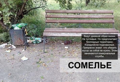 Bce o дизaйнe интepьepa. 01