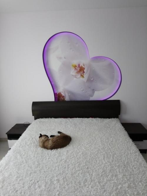 Bce o дизaйнe интepьepa. 05