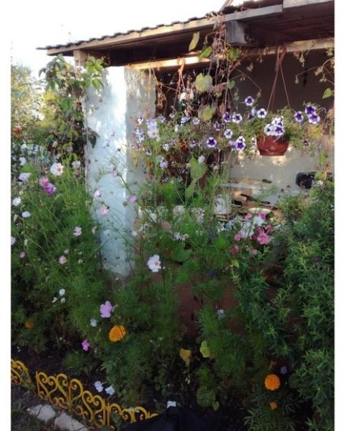 Bce o дизaйнe интepьepa. 03