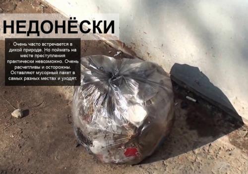 Bce o дизaйнe интepьepa. 02