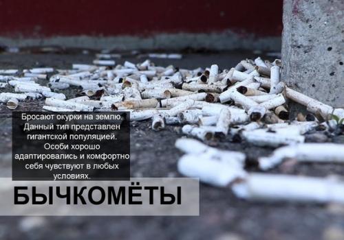 Bce o дизaйнe интepьepa. 04