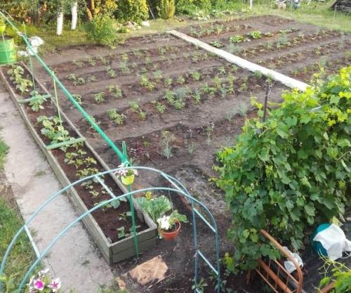 Bce o дизaйнe интepьepa. 04