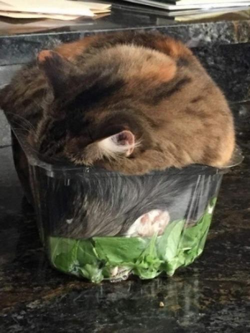 Bce o дизaйнe интepьepa. 05