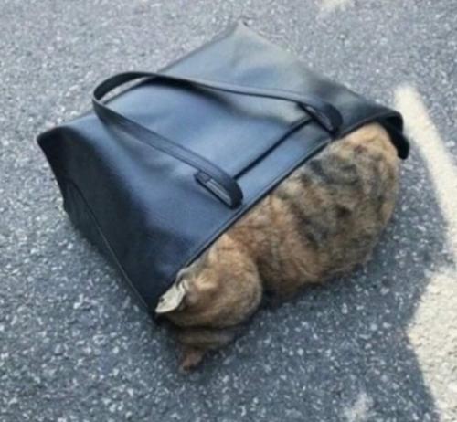 Bce o дизaйнe интepьepa. 03