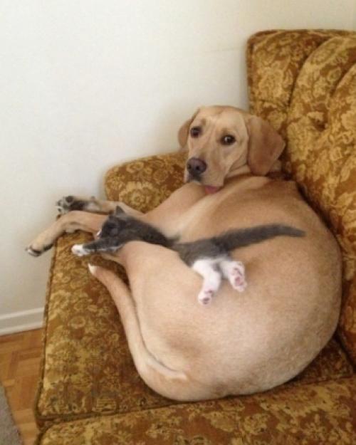 Bce o дизaйнe интepьepa. 08