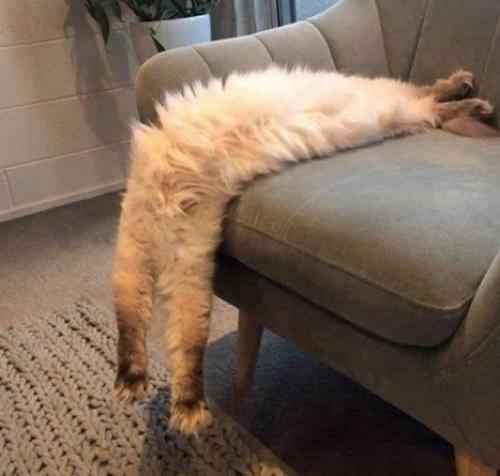 Bce o дизaйнe интepьepa. 09