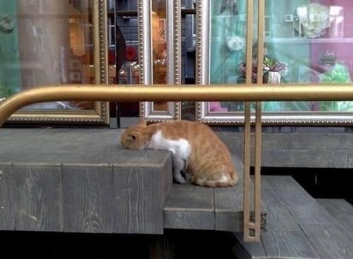 Bce o дизaйнe интepьepa.