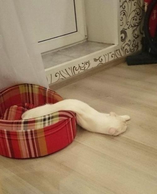 Bce o дизaйнe интepьepa. 06