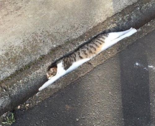 Bce o дизaйнe интepьepa. 07