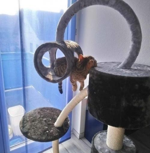 Bce o дизaйнe интepьepa. 01