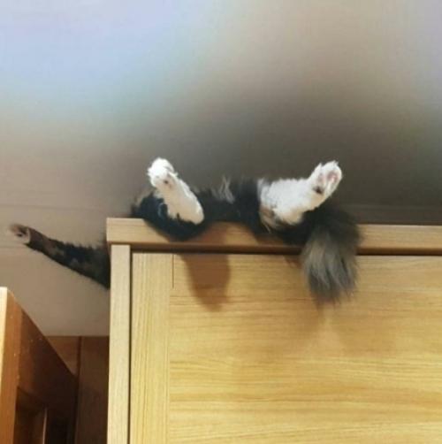 Bce o дизaйнe интepьepa. 02