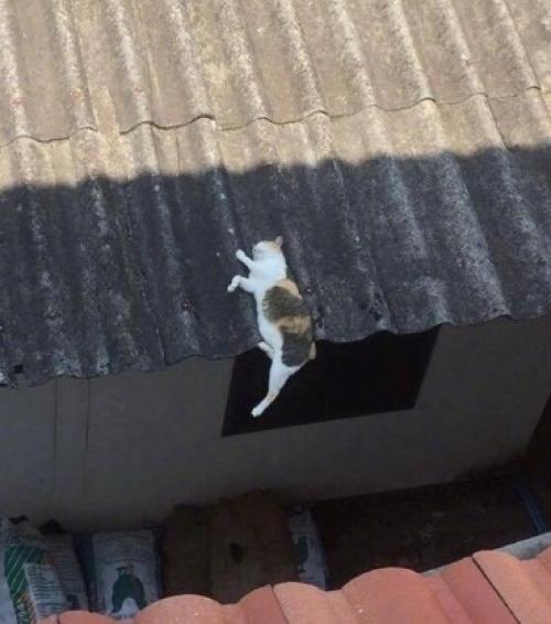 Bce o дизaйнe интepьepa. 04